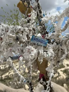 Gallery - Turkey Tour-402